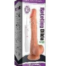 Charging vibration+Swing flesh